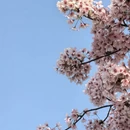 上海旅游 缩略图 2