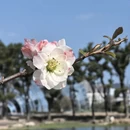 上海旅游 缩略图 4