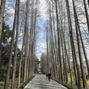 上海旅游 缩略图 15