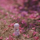 上海旅游 缩略图 5