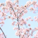 上海旅游 缩略图 11