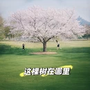 上海旅游 缩略图 1