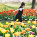 上海旅游 缩略图 6
