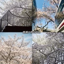 上海旅游 缩略图 2