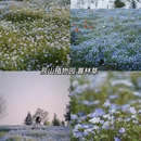 上海旅游 缩略图 6