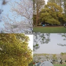 上海旅游 缩略图 13