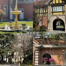 上海旅游 缩略图 7