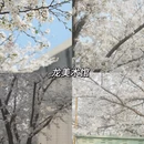 上海旅游 缩略图 16