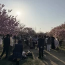上海旅游 缩略图 2