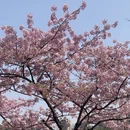 上海旅游 缩略图 1