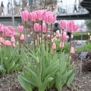 上海旅游 缩略图 3
