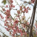 上海旅游 缩略图 10