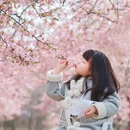 上海旅游 缩略图 11
