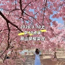 上海旅游 缩略图 1