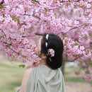 上海旅游 缩略图 3