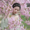 上海旅游 缩略图 5