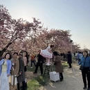 上海旅游 缩略图 1