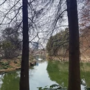上海旅游 缩略图 7