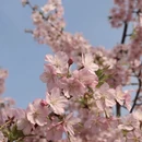 上海旅游 缩略图 4