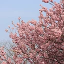 上海旅游 缩略图 5