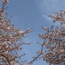 上海旅游 缩略图 4