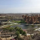 上海旅游 缩略图 10