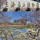 上海旅游 缩略图 2