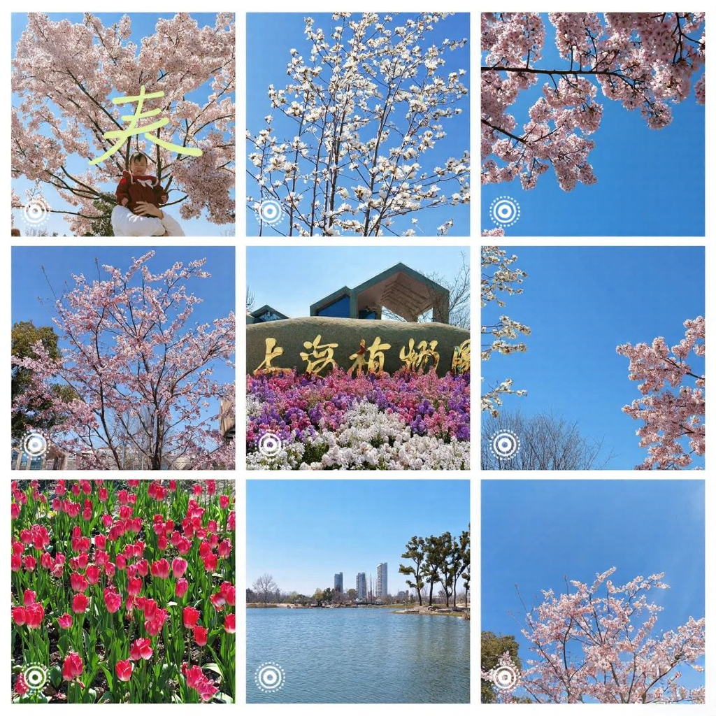 上海旅游