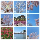 上海旅游 缩略图 1