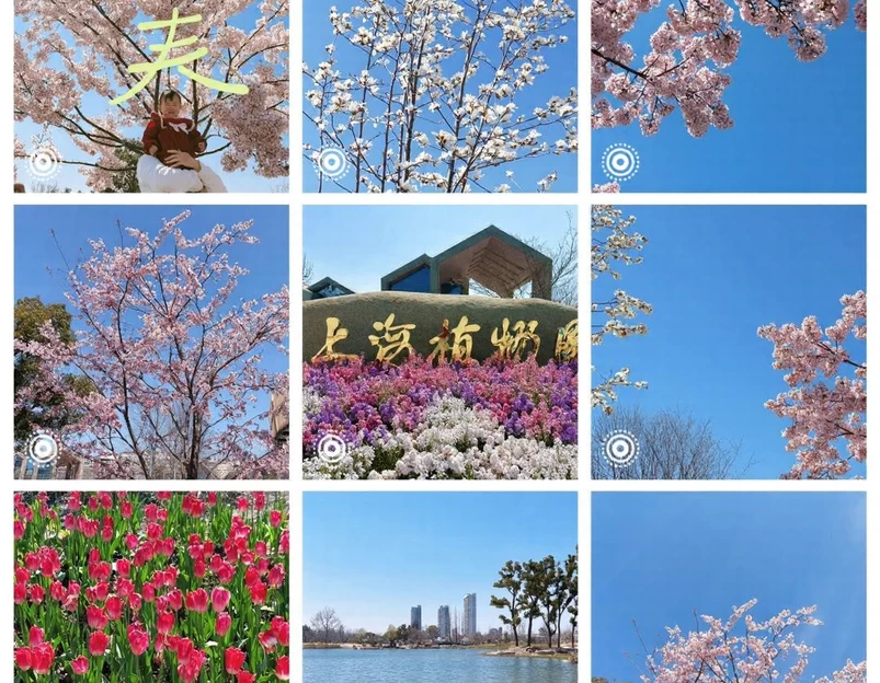 上海旅游 1