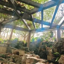 上海旅游 缩略图 4