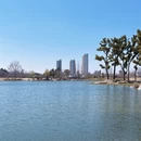 上海旅游 缩略图 7