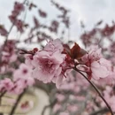 上海旅游 缩略图 2