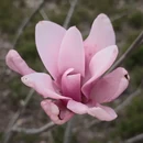 上海旅游 缩略图 6