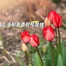 上海旅游 缩略图 1