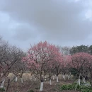 上海旅游 缩略图 5