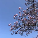 上海旅游 缩略图 7
