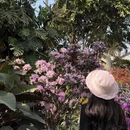 上海旅游 缩略图 9
