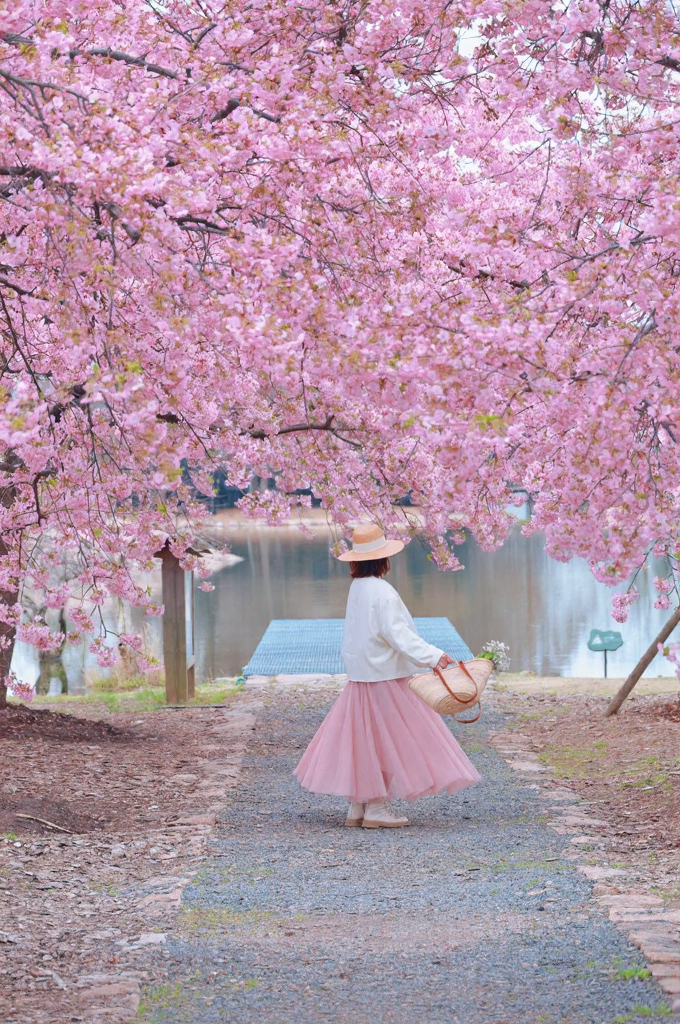上海旅游