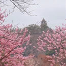 上海旅游 缩略图 15