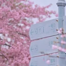 上海旅游 缩略图 10