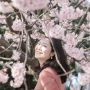 上海旅游 缩略图 7