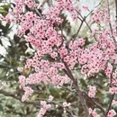 上海旅游 缩略图 4