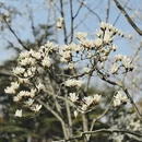 上海旅游 缩略图 5