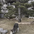 上海旅游 缩略图 6
