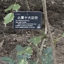 上海旅游 缩略图 7