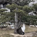 上海旅游 缩略图 5