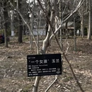 上海旅游 缩略图 8