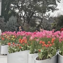 上海旅游 缩略图 7