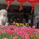 上海旅游 缩略图 8